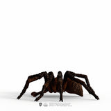 Schleich® Aragog