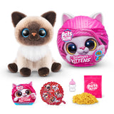 Smitten Kittens interaktiv kat