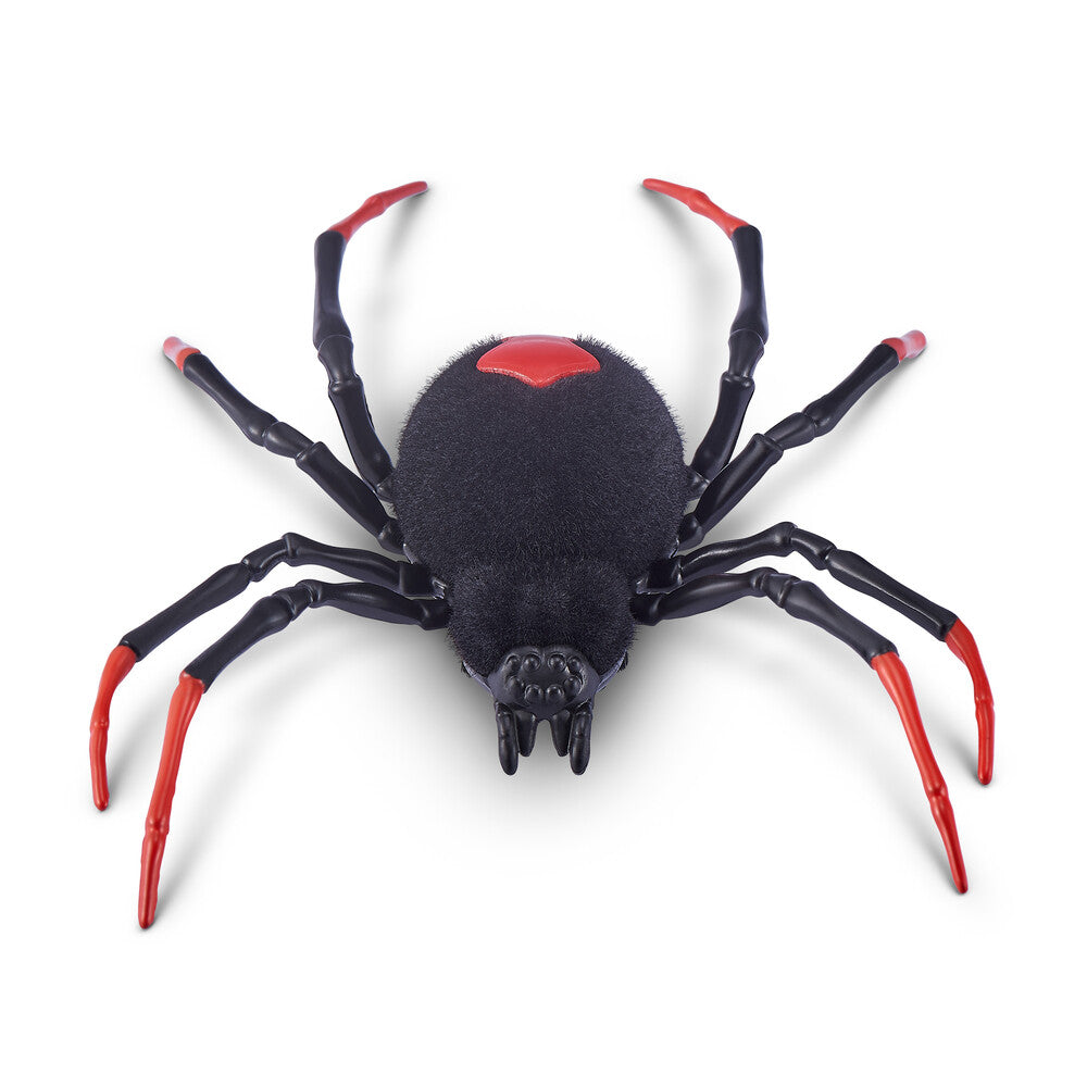 Creepy Crawly Pack