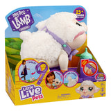 Little Live Pets My Lamb