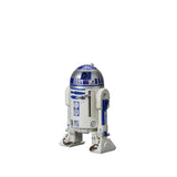 Star Wars Bl Hazelton