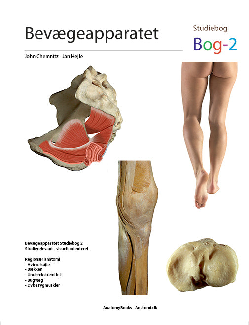 Bevægeapparatet - Bog2