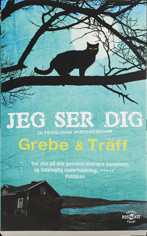 Jeg ser dig