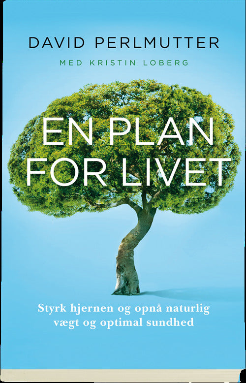 En plan for livet