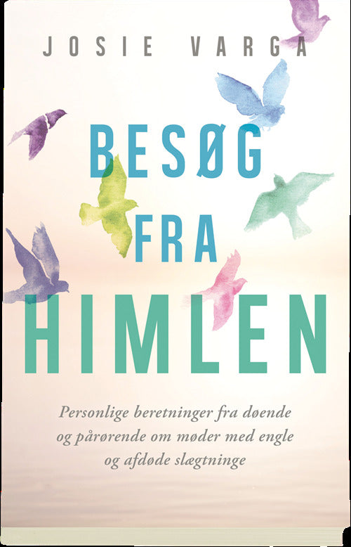 Besøg fra himlen