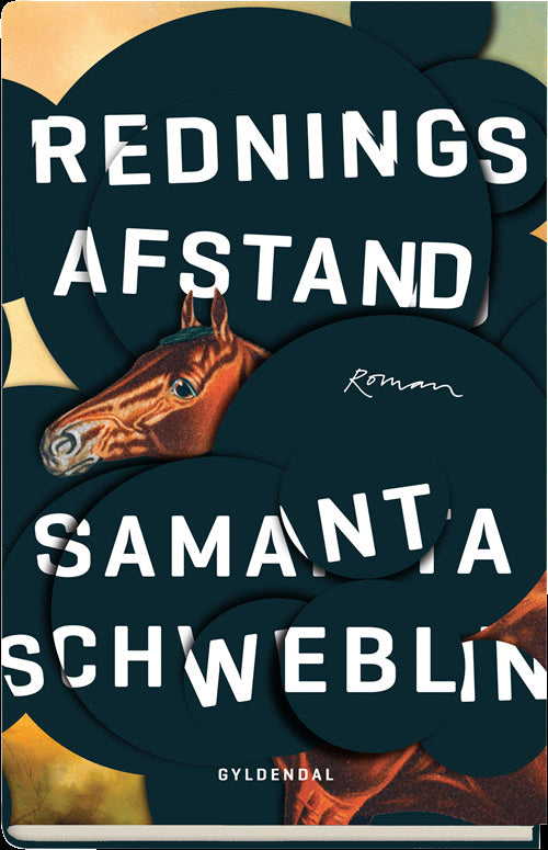 Redningsafstand