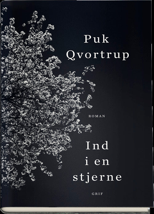 Ind i en stjerne