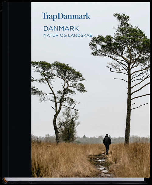 Danmark 1