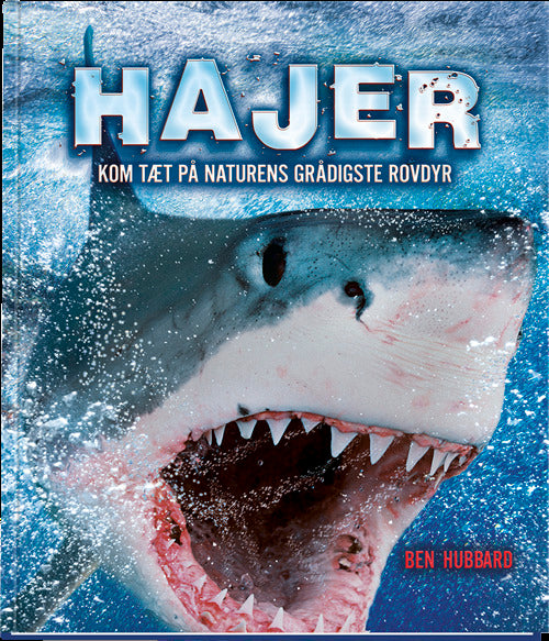 Hajer