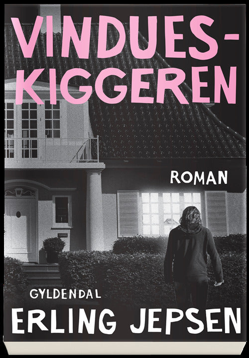 Vindueskiggeren