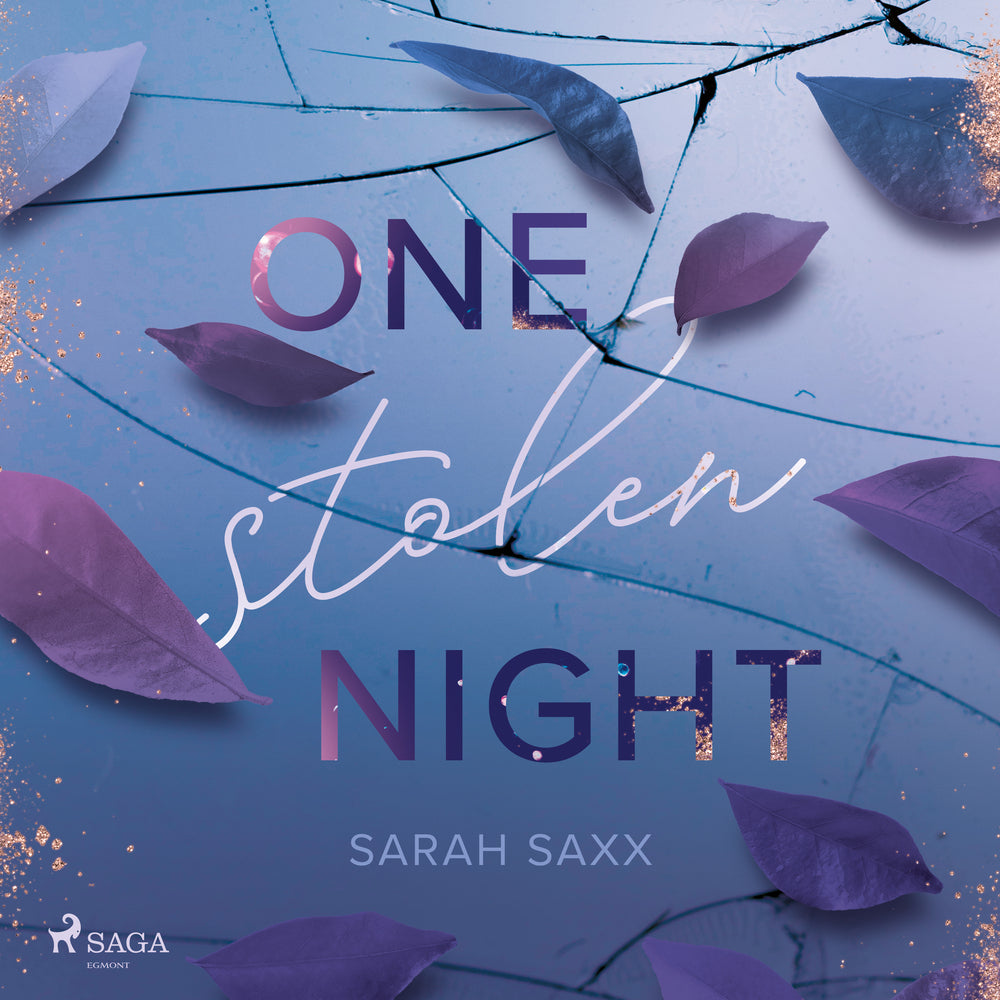 One Stolen Night
