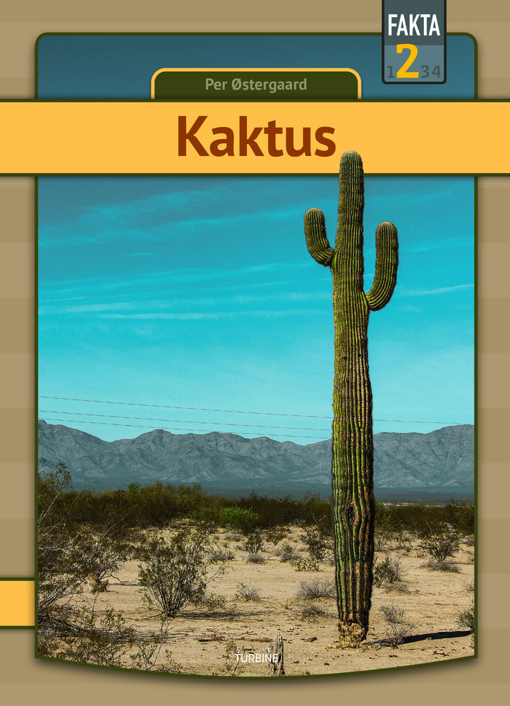 Kaktus