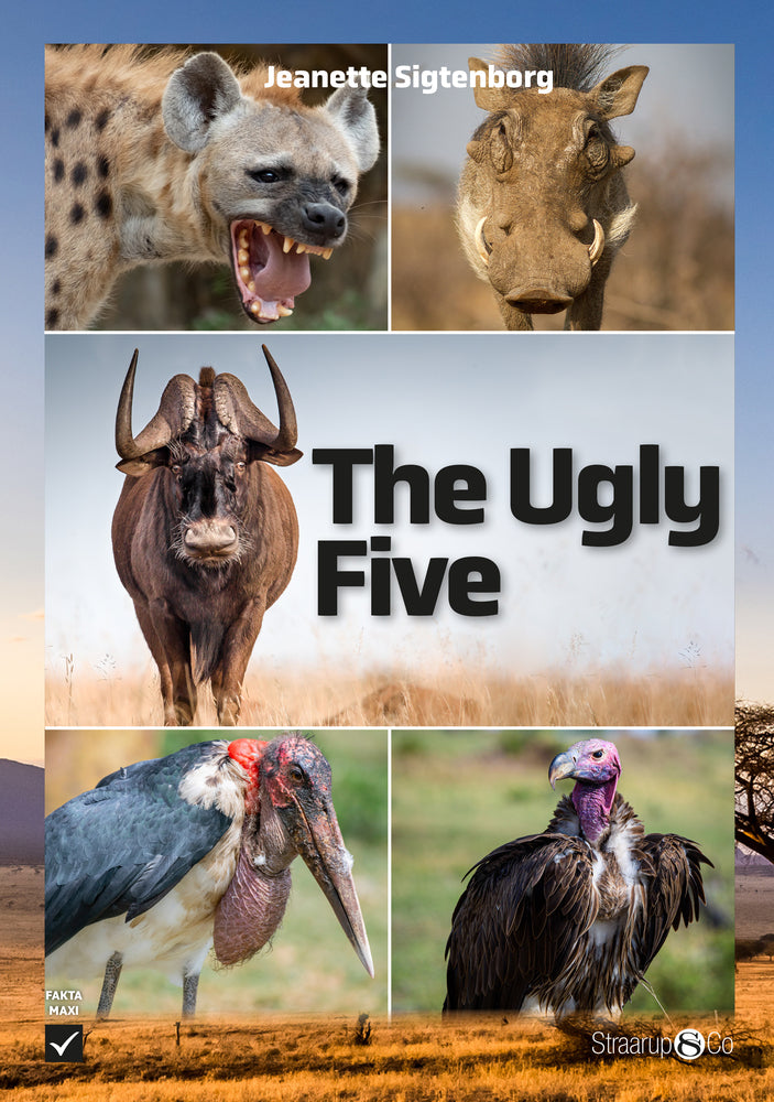The Ugly Five