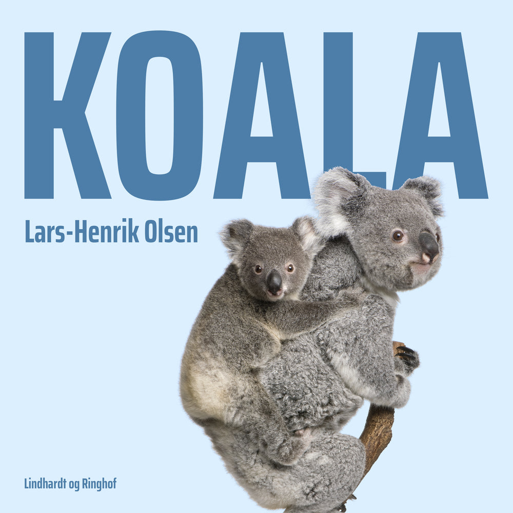 Koala