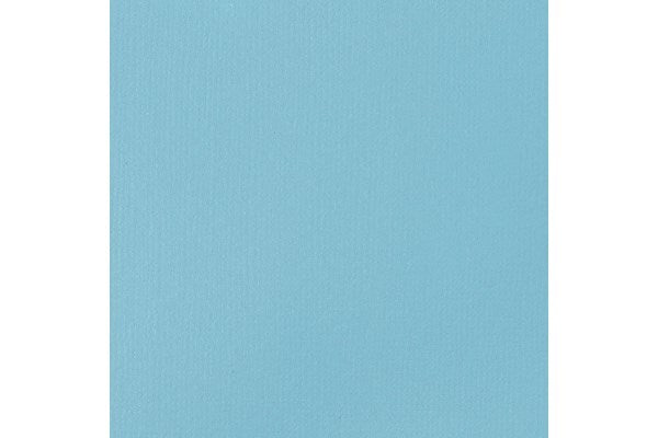 Basics 118Ml Light Blue Permanent 770