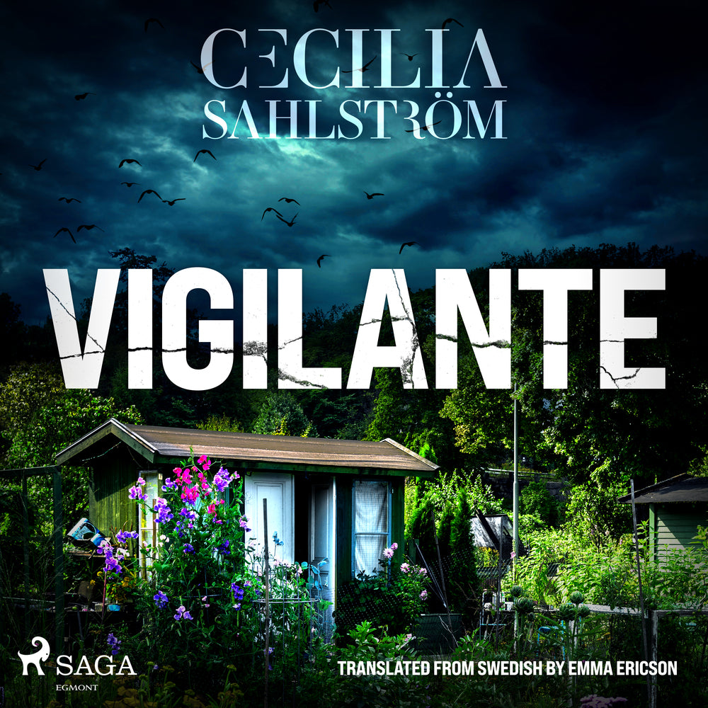 Vigilante: An authentic Swedish police procedural