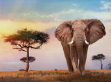 Puslespil African Sunset 500 brikker