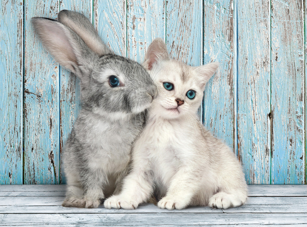 Puslespil Cat & Bunny 500 brikker