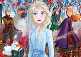 Puslespil Frozen 2, 2 X 20 brikker