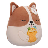 Squishmallows 19 cm ass