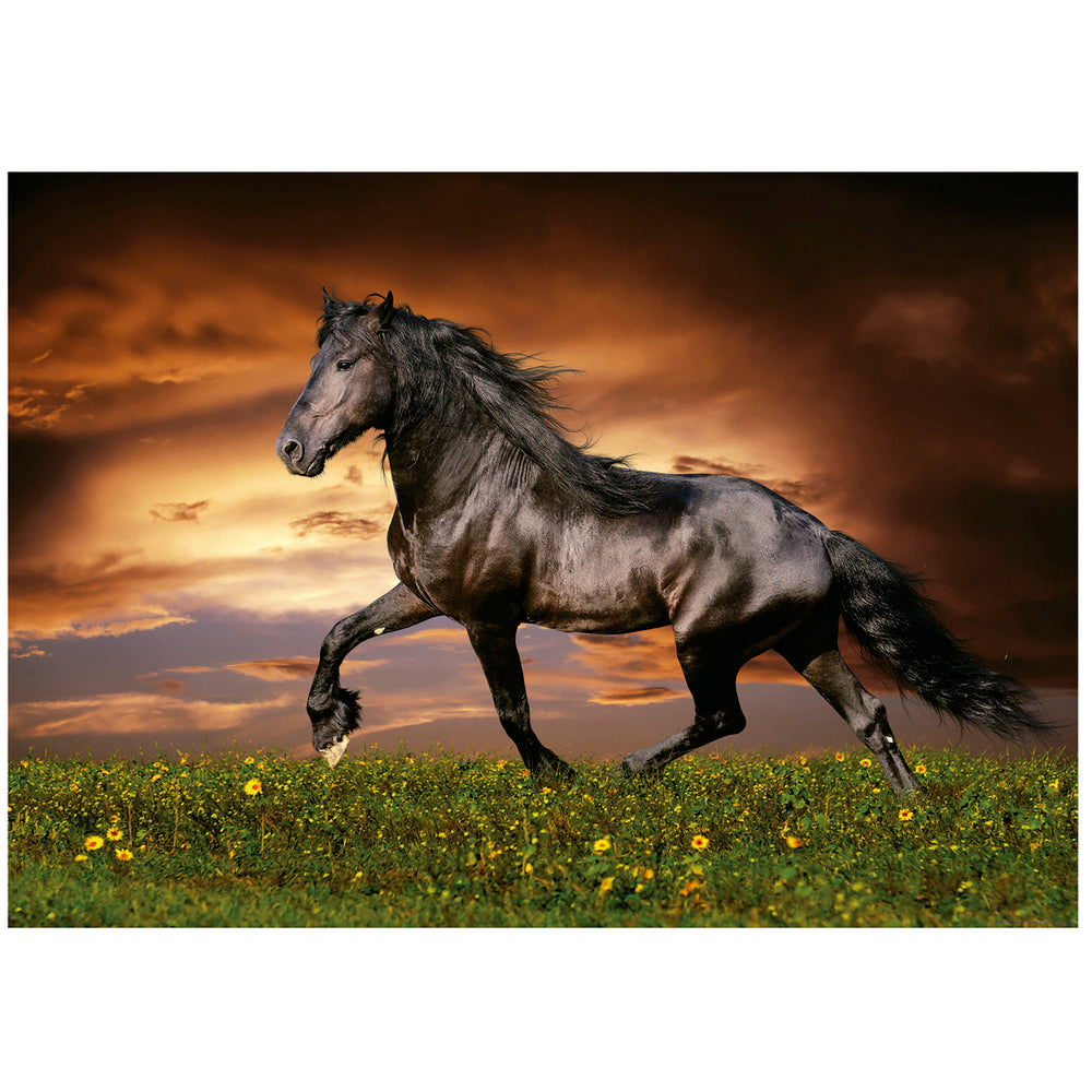 Puslespil Trotting Horse 1000 brikker