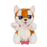 Baby Paws Mini - Shibainu