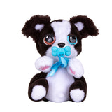 Baby Paws Mini - Border Collie