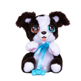 Baby Paws Mini - Border Collie