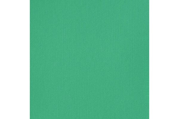 Basics 118Ml Bright Aqua Green 660