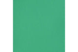 Basics 118Ml Bright Aqua Green 660