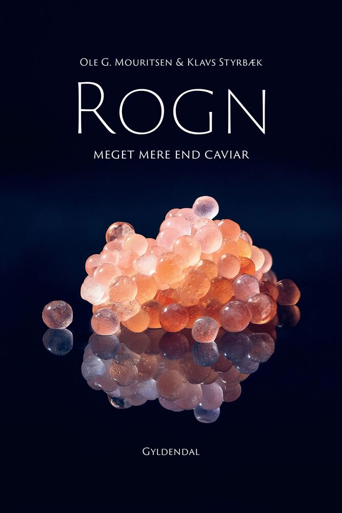 Rogn