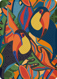Diamond art tukaner 13 x 18 cm