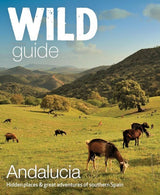 Wild Guide Andalucia: Hidden Places & great adventures in southern Spain