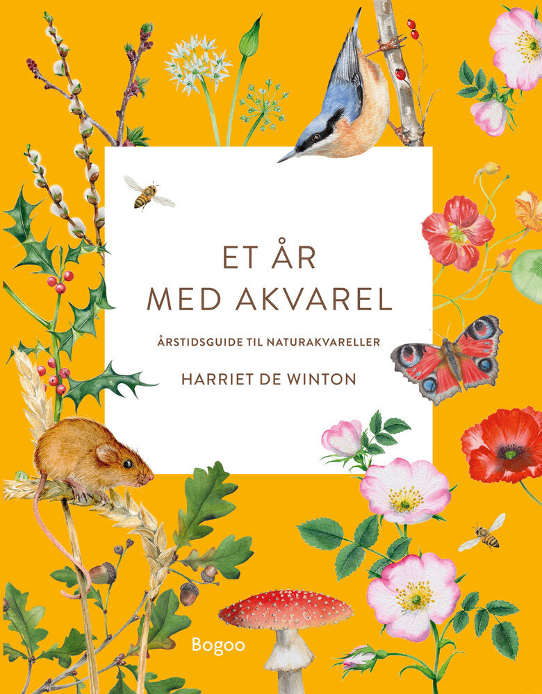 D1 Et år med akvarel