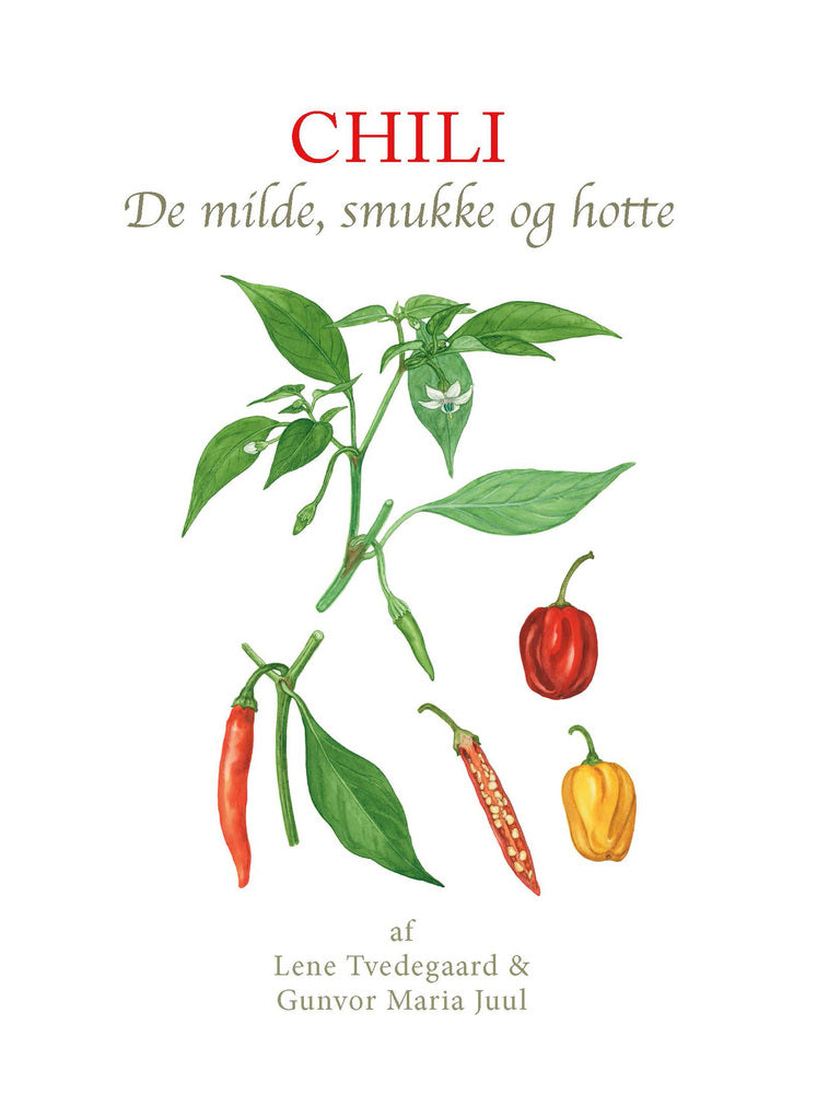Chili