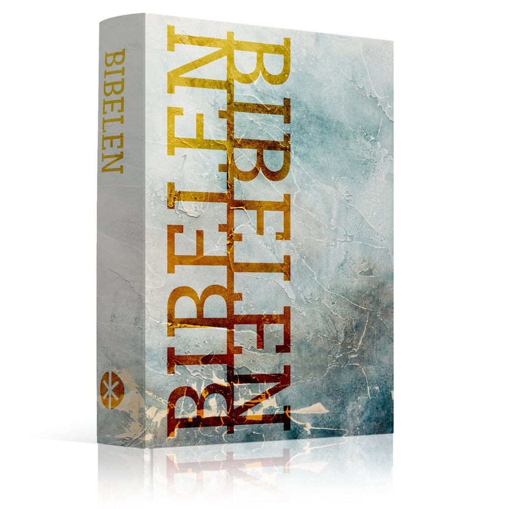 Bibelen på Hverdagsdansk, paperback, frost