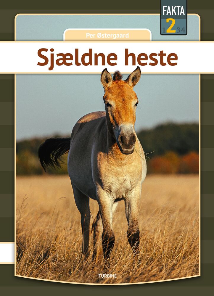 Sjældne heste