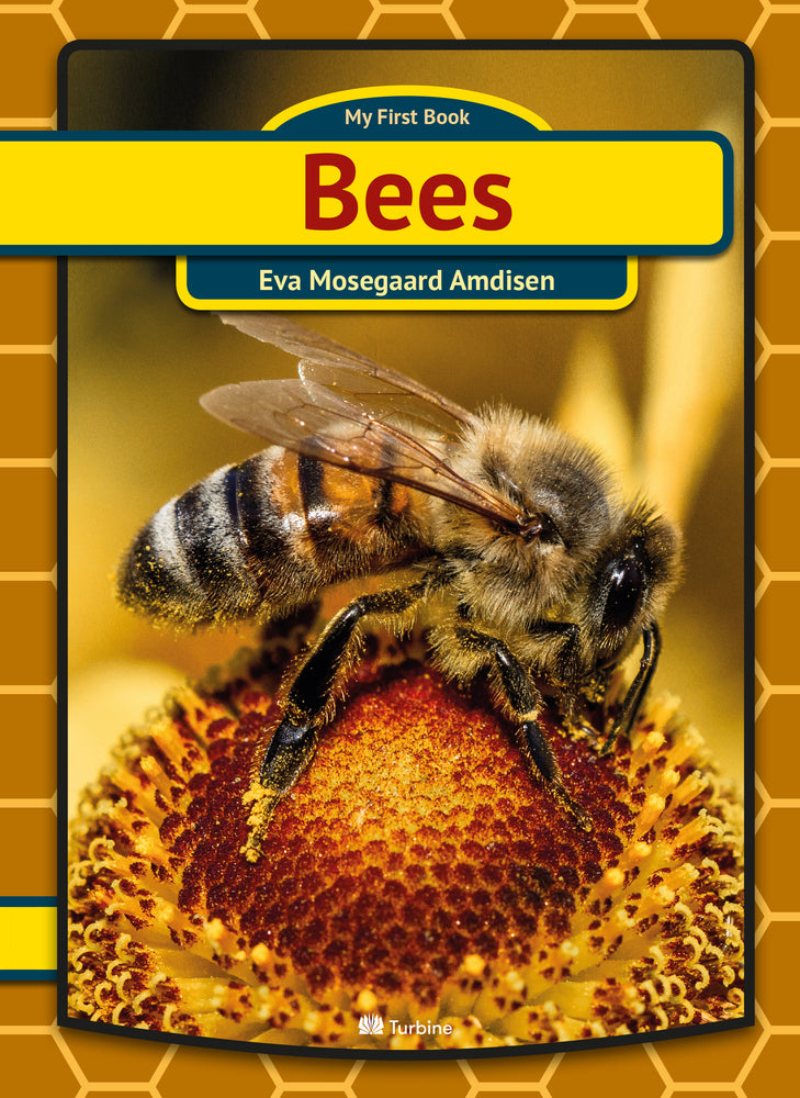 Bees