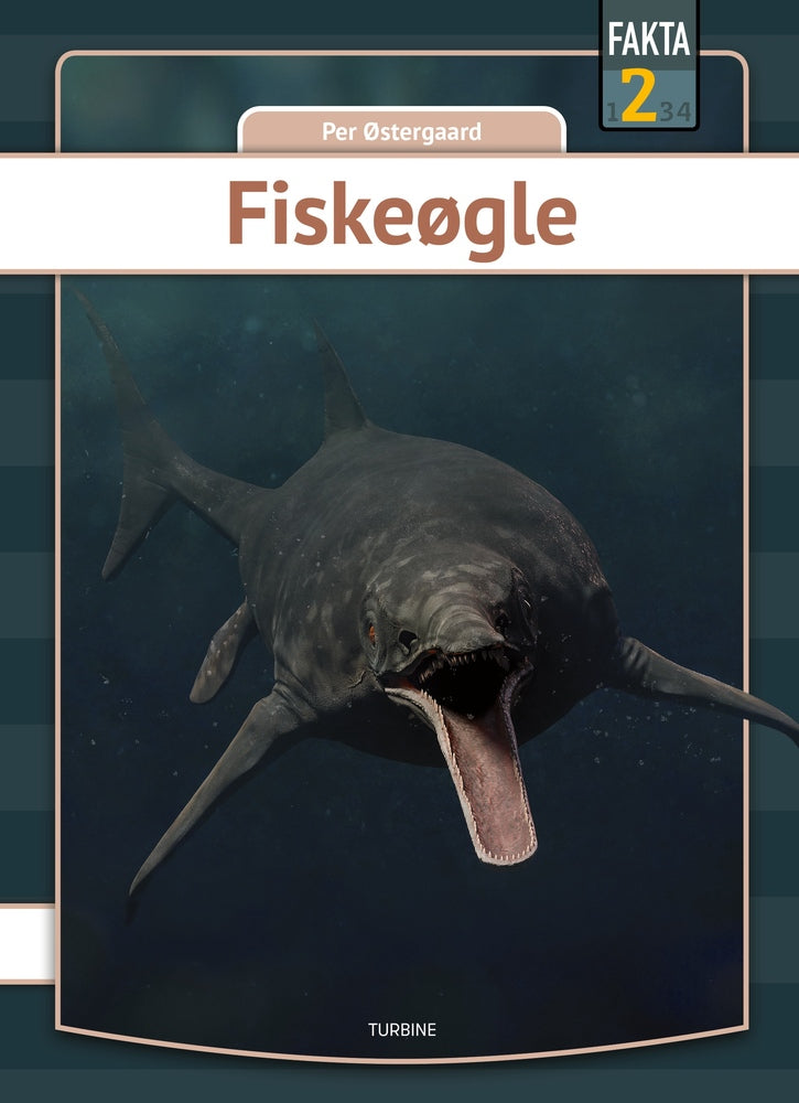 Fiskeøgle