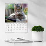 Mayland Vægkalender 2025 katte 29,5 x 39 cm