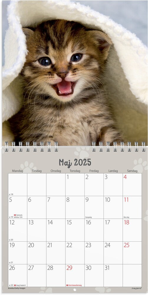 Mayland Vægkalender 2025 kattekillinger 16 x 16 cm