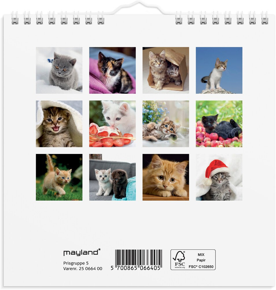 Mayland Vægkalender 2025 kattekillinger 16 x 16 cm