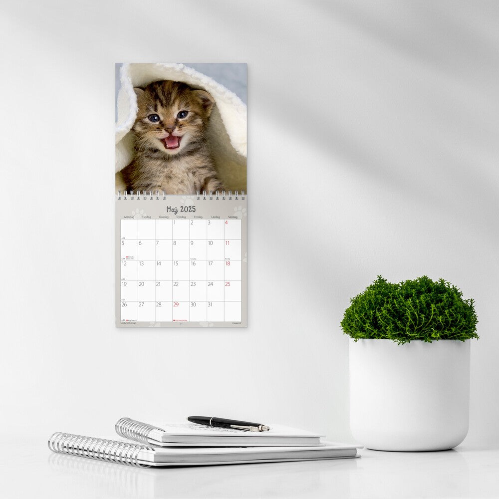 Mayland Vægkalender 2025 kattekillinger 16 x 16 cm