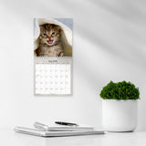 Mayland Vægkalender 2025 kattekillinger 16 x 16 cm
