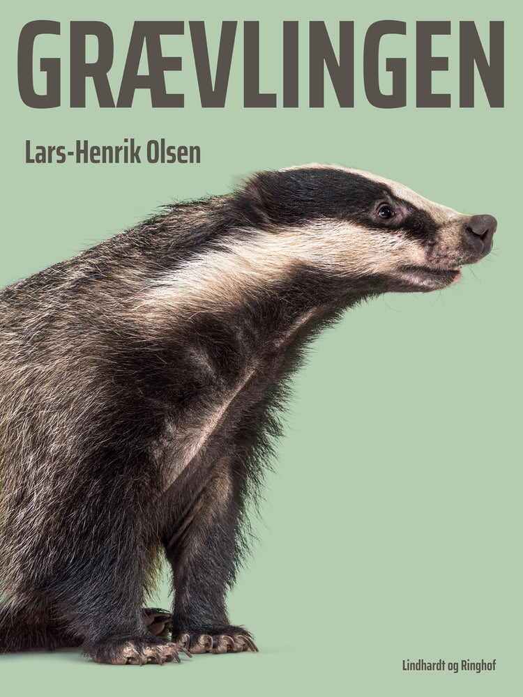Grævlingen