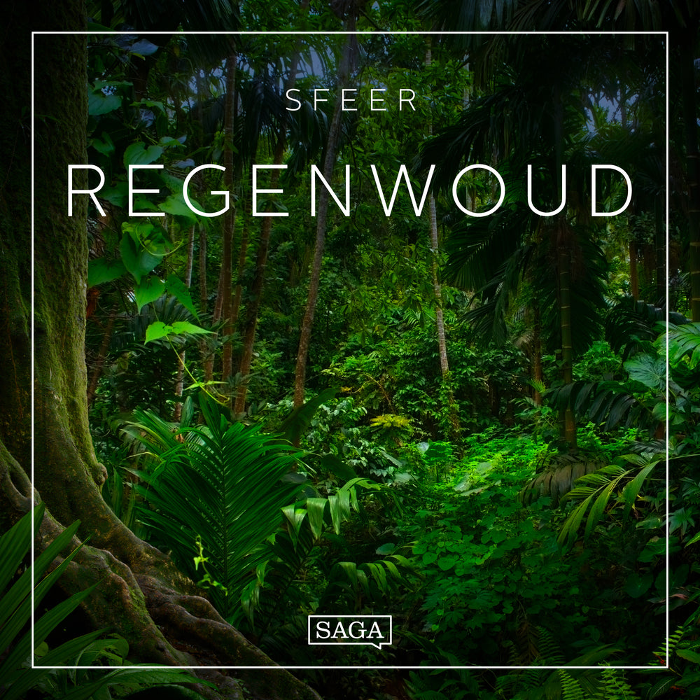 Sfeer - Regenwoud