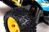 RC Sneak Max