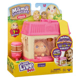 Little Live Pets Mama Surprise Minis Asst