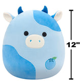 Squishmallows 30 cm Ko