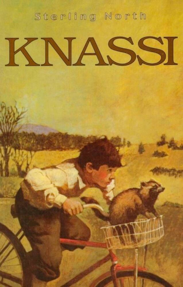 Knassi